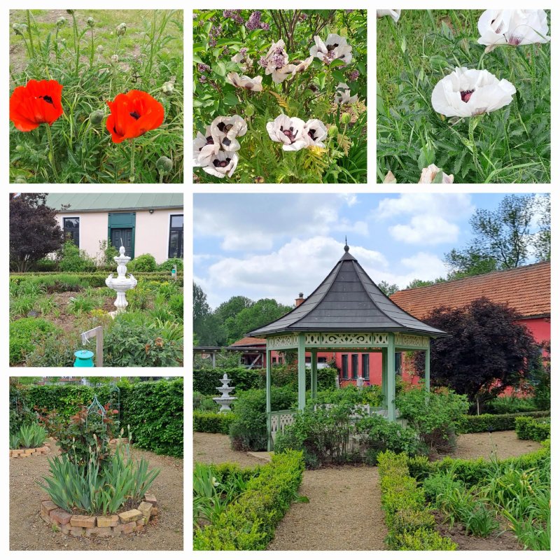 Pension Hesse