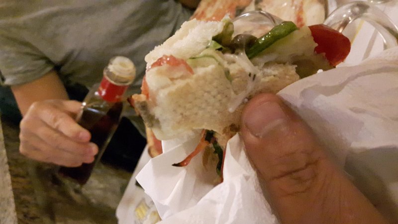 El punaro