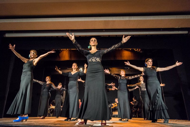 Il Mosaico Danza Asd Flamenco