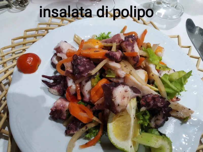 Villa Plasi