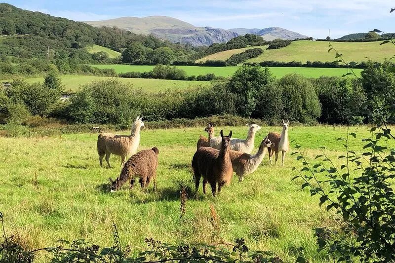FELL FOOT, pet friendly, character holiday cottage in Eskdale Green