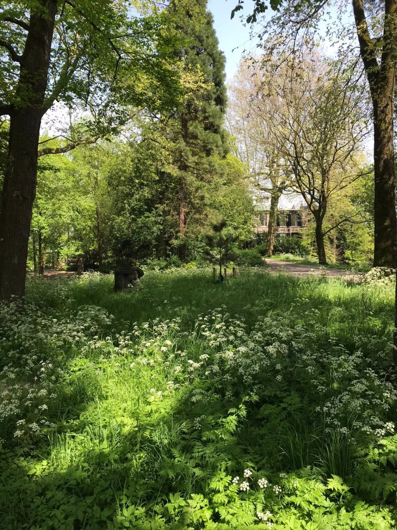 Park Servaasbolwerk / Sonnenborgh