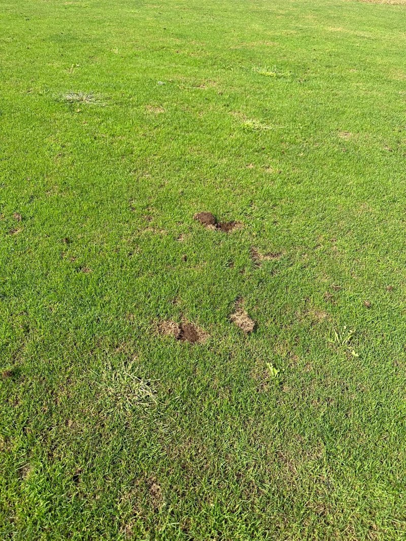 Golf Club Castel d'Aviano