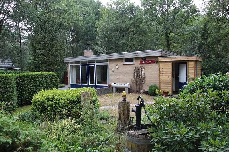 A cozy bungalow on the edge of the forest.