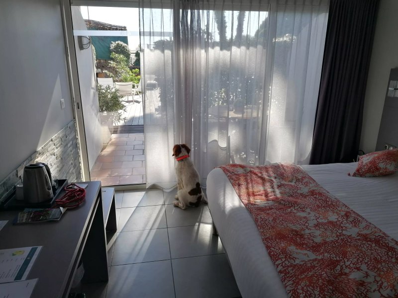 Le Grand Pavois Hotel Restaurant