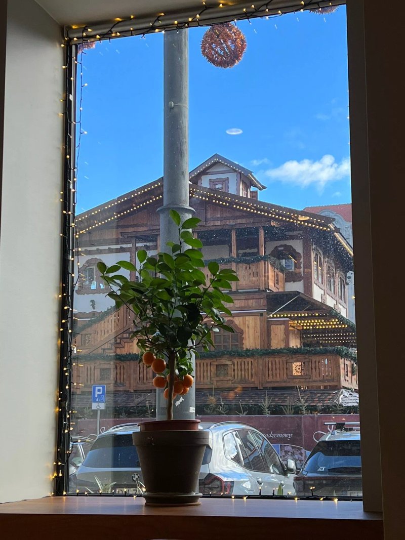 Jolie Brasserie Cafe Plac Solny