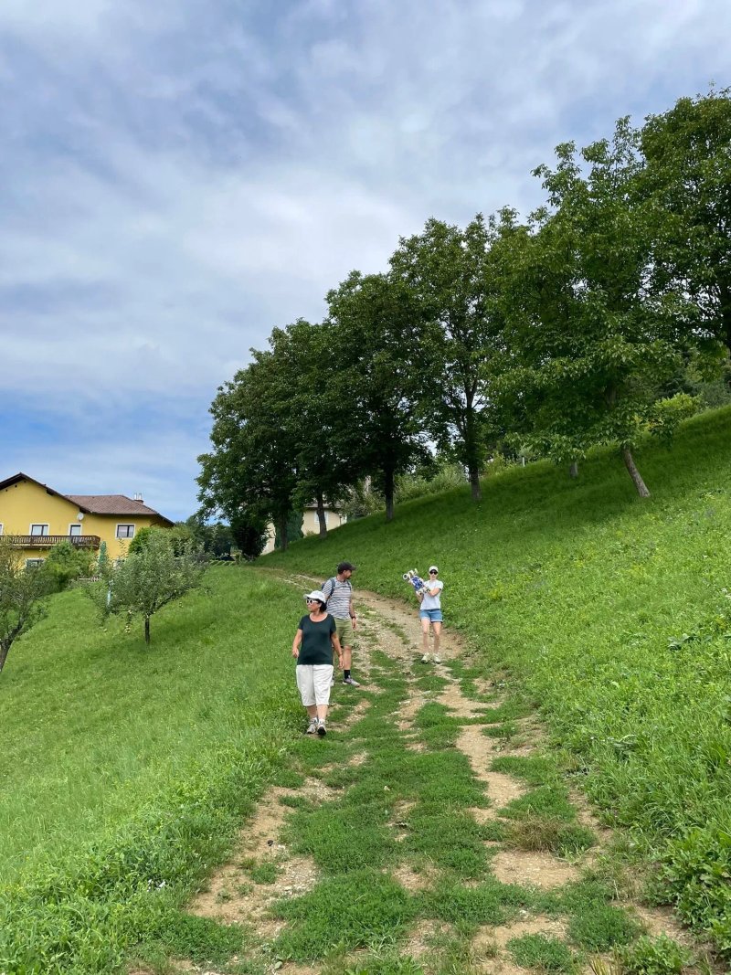 Weingut Fellner