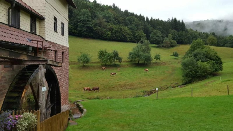 Landgasthaus Zur Muhle