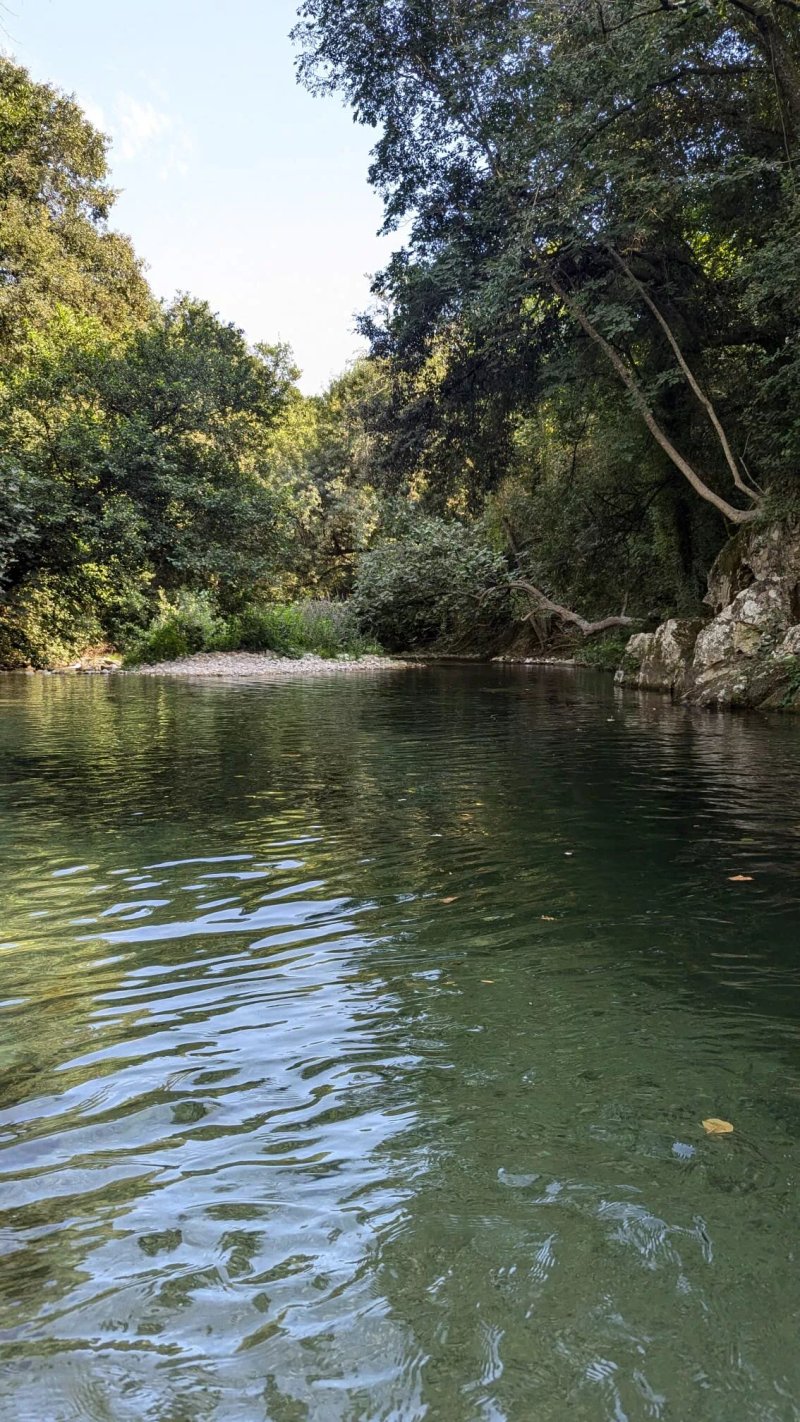 APV Camping Au Vallon Rouge