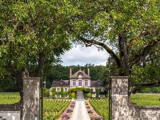 Domaine D'Ardhuy, Family & Grower