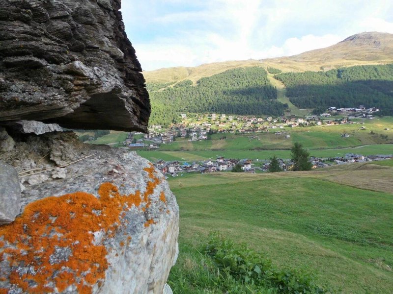 Livigno Ski Apartments