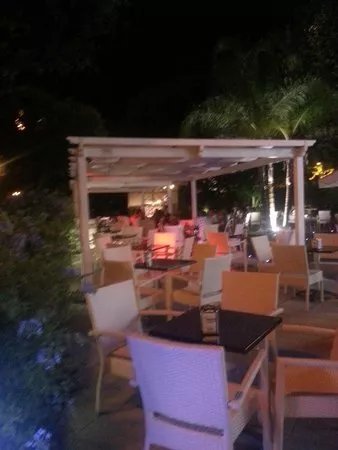bar platani