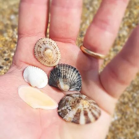 Spiaggia del Foro di Ortona