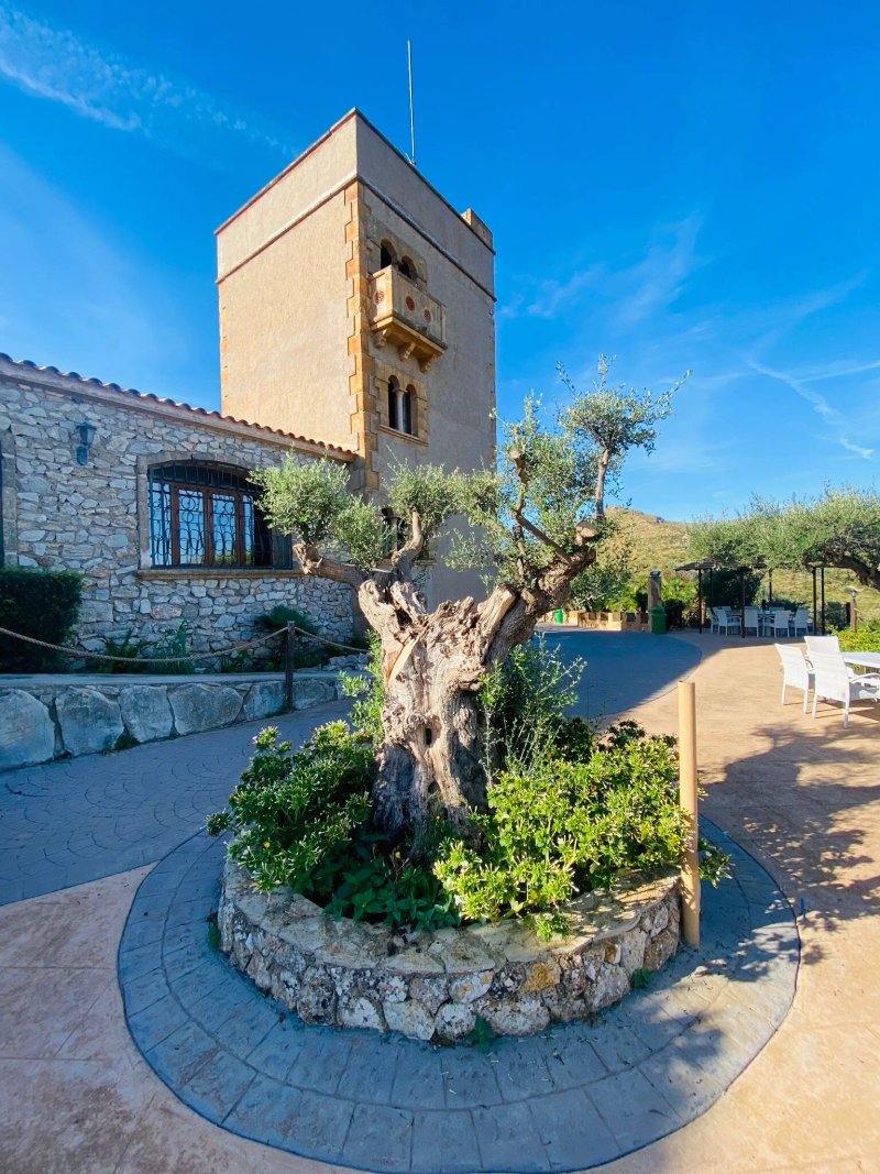 El Castillo de Sa Duaia de Dalt
