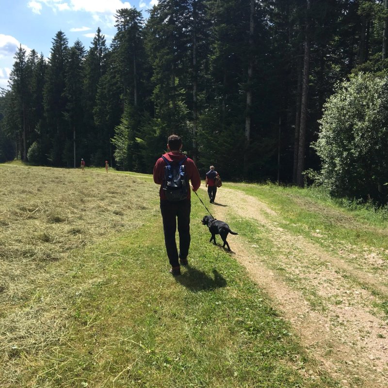 Chalet Monte Cimone