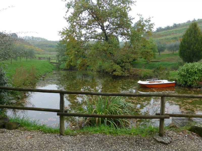 Azienda Agricola Codelli
