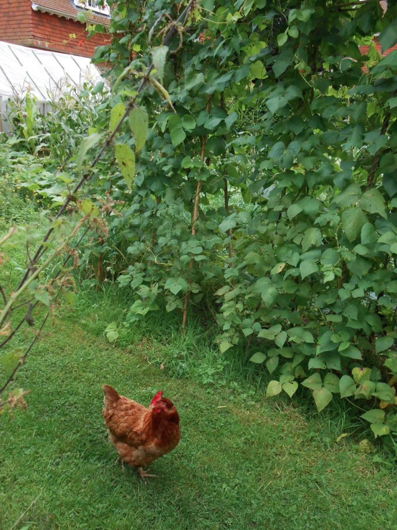 Orchards Retreat