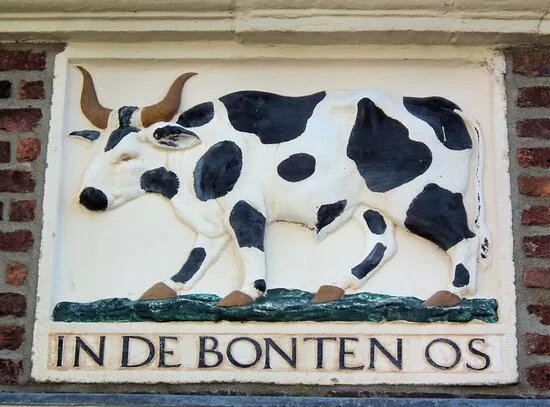 Huis In De Bonten Os (1611)