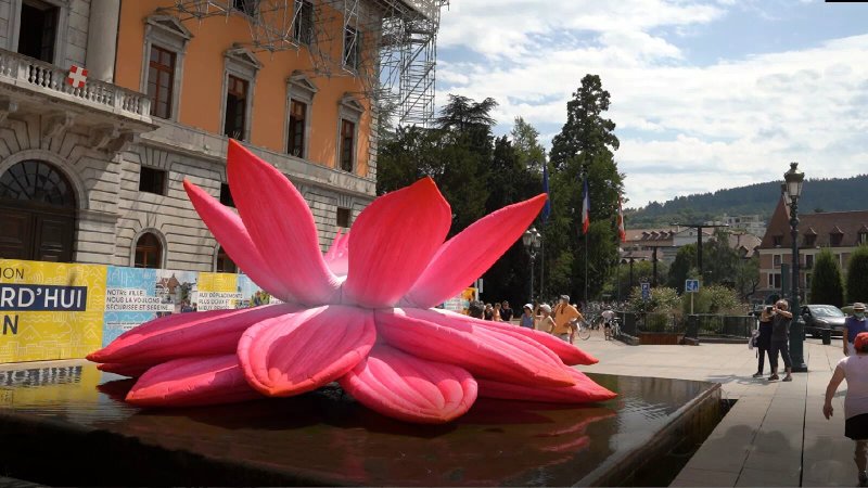 Breathing Lotus Flower - Annecy