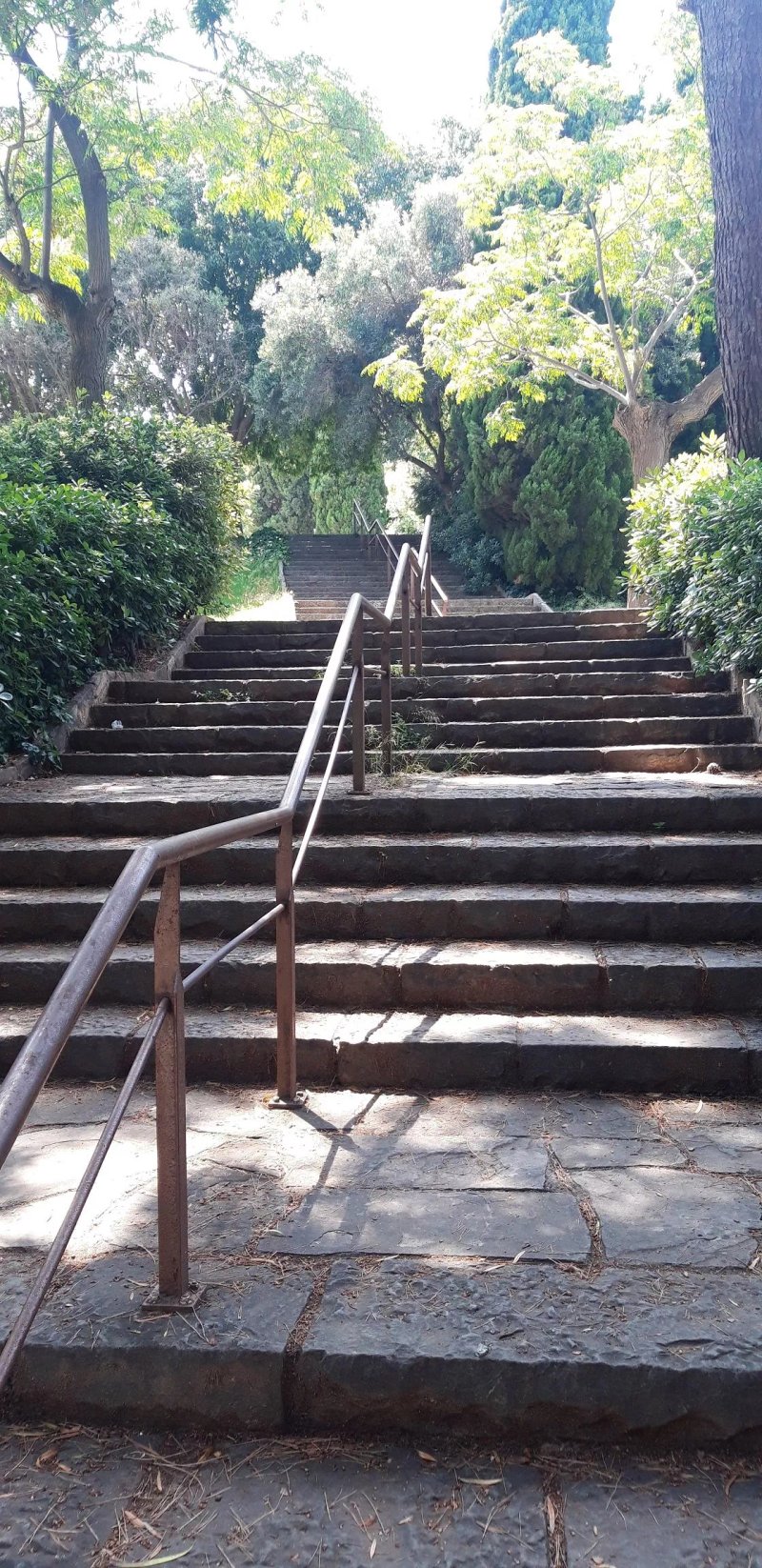 Parc Del Turo De La Peira