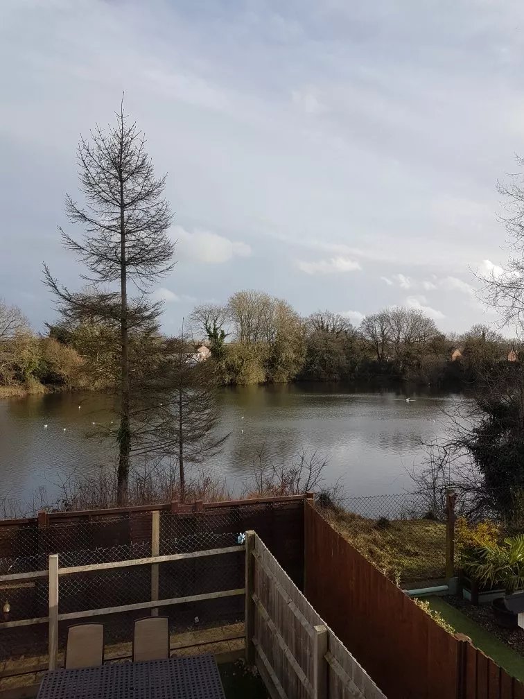 Lake View House