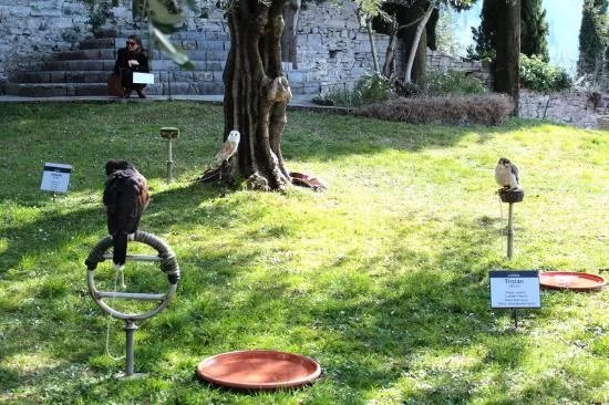 Museo Ornitologico Luigi Scanagatta