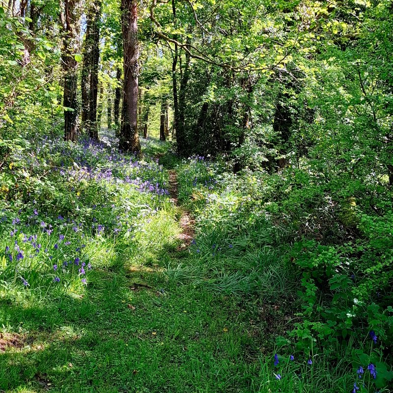 Aberdwylan Farm Holiday Cottages