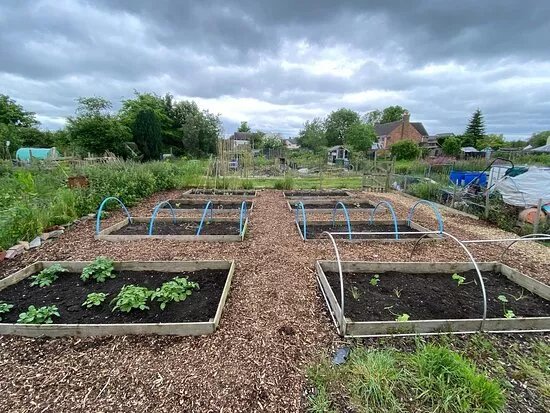 Ready, Set, Grow!