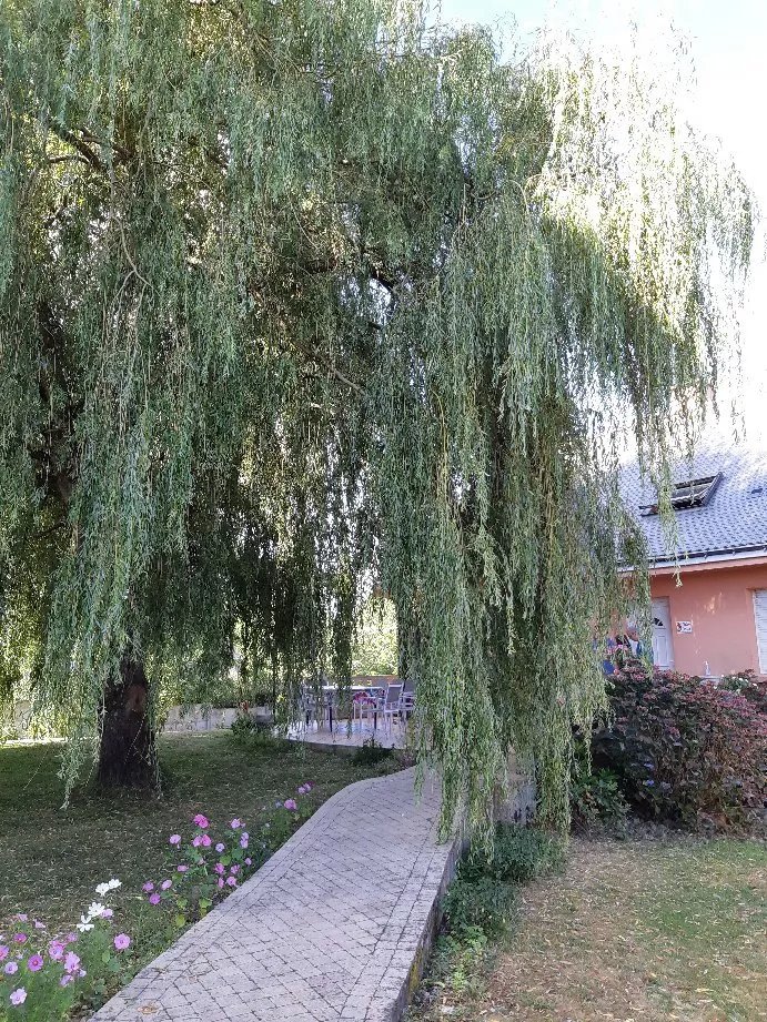 Le Paon du Jour - Gîte & Chambres d'hôtes