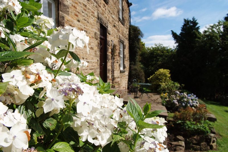 Low Urpeth Farm B&B