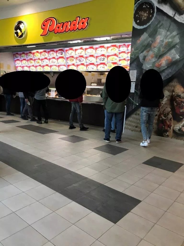 Panda