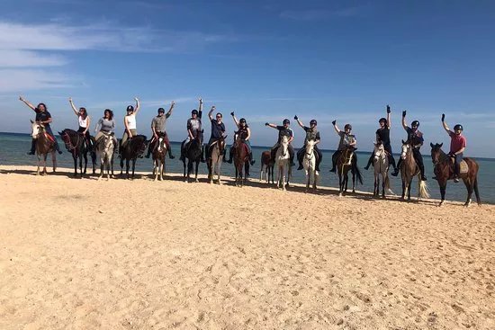 Enjoyinghorses.com