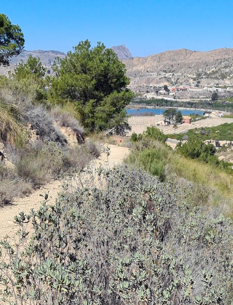 Mirador Del Azud De Ojos