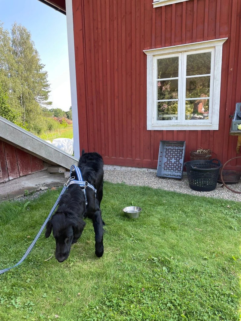 Eko Gard - Gardsbutik Och Tradgardscafe