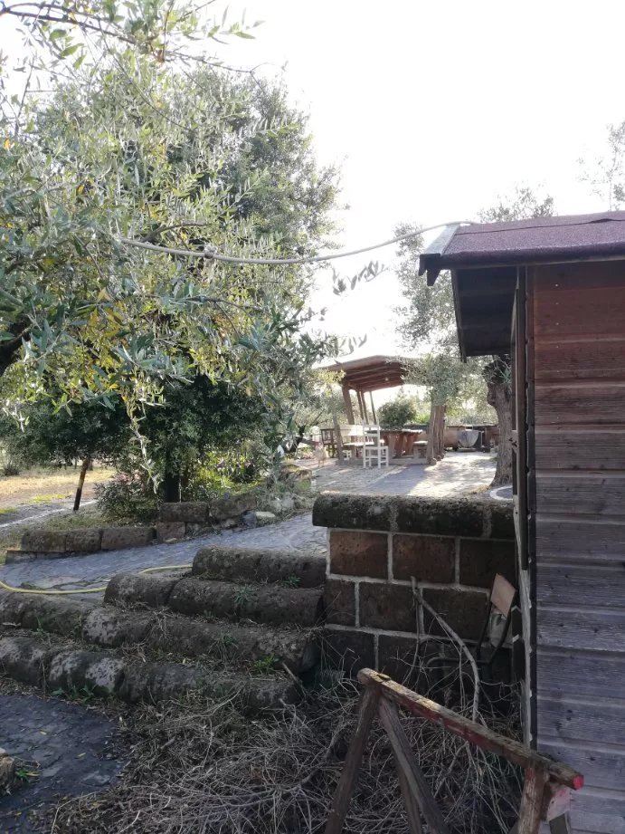 I Sapori Viaggiano Nel Tempo