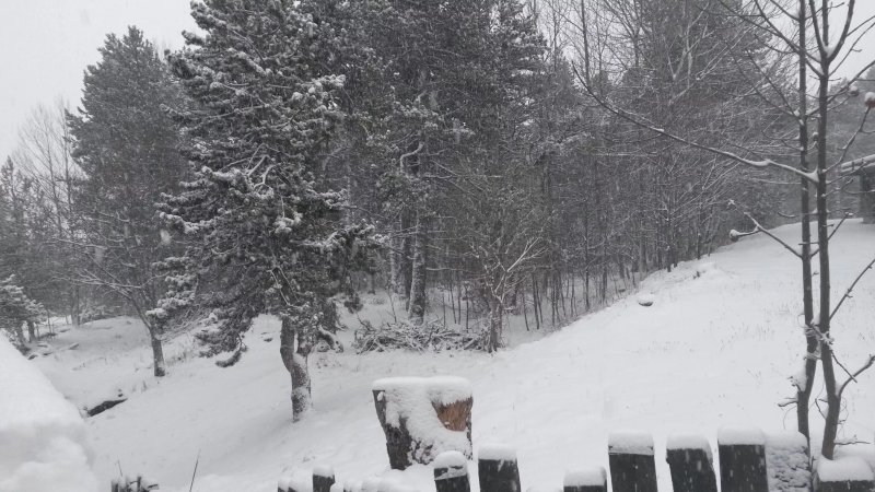 Le Chalet du Ticou