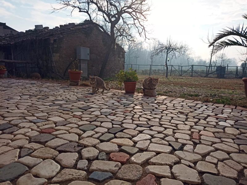 Agriturismo Casale Rosarossa