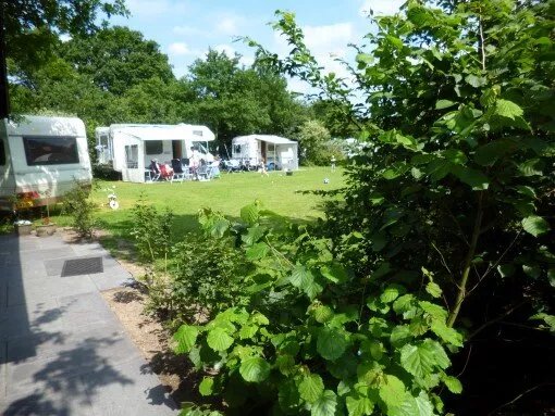 Boszicht Camping