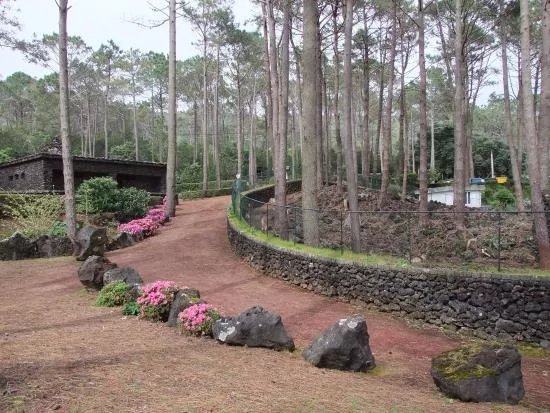 Parque Florestal de Sao Joao