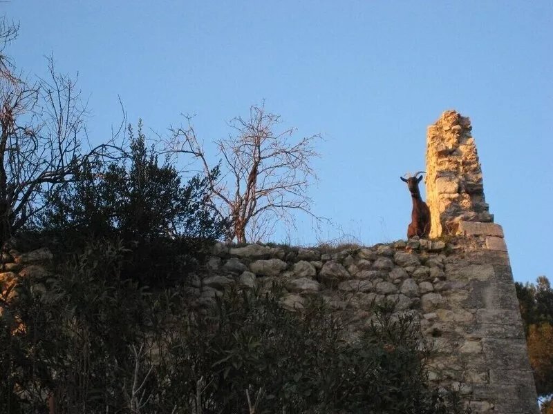 Gite Boulbon. House at the foot of the old Castle between Avignon & Baux de