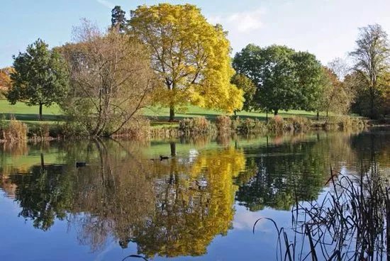 Pittville Park
