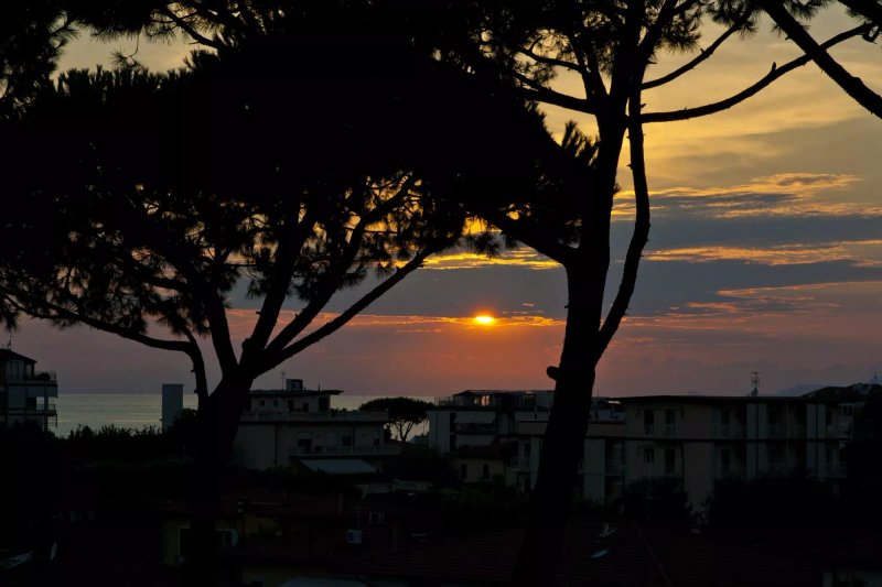Hotel Le Ginestre