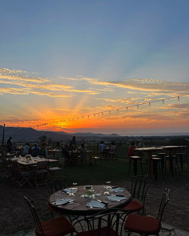 La Table Du Domaine Camellu