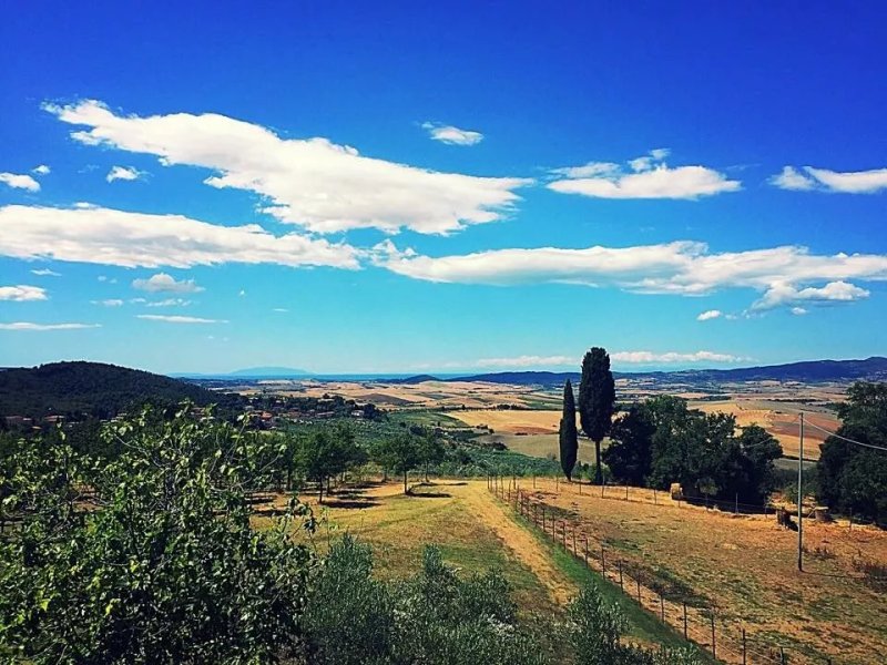 Agriturismo Le Vignacce