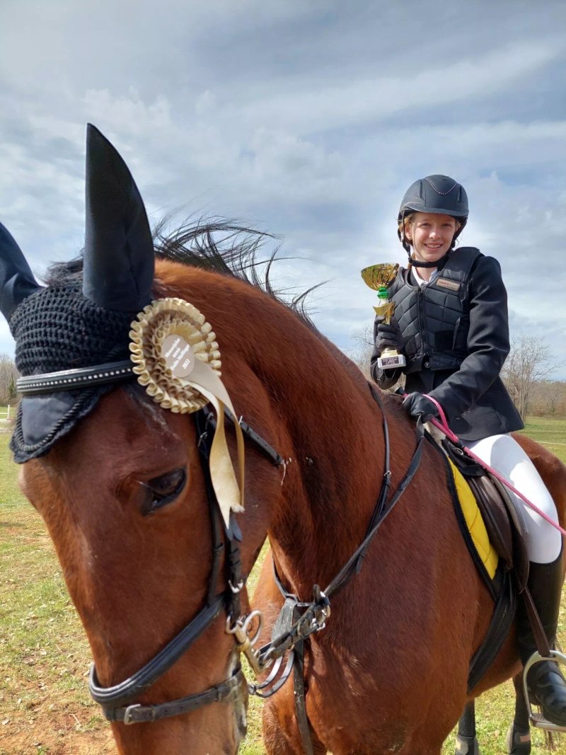 Horse Club Black Horse