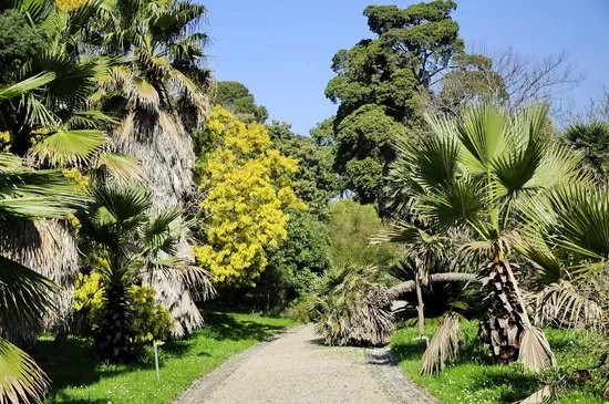 Thuret Garden (Jardin Thuret )