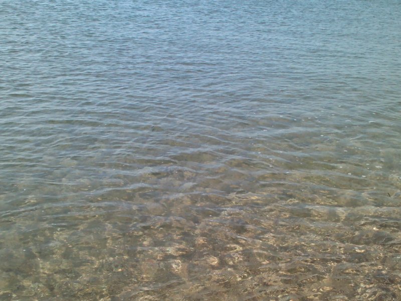 Oasi
