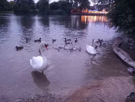 Fordingbridge Park