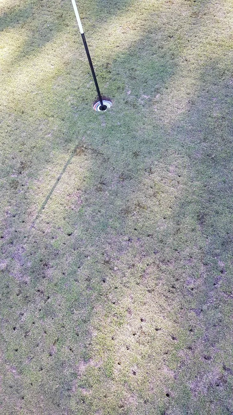 Frodsham Golf Club