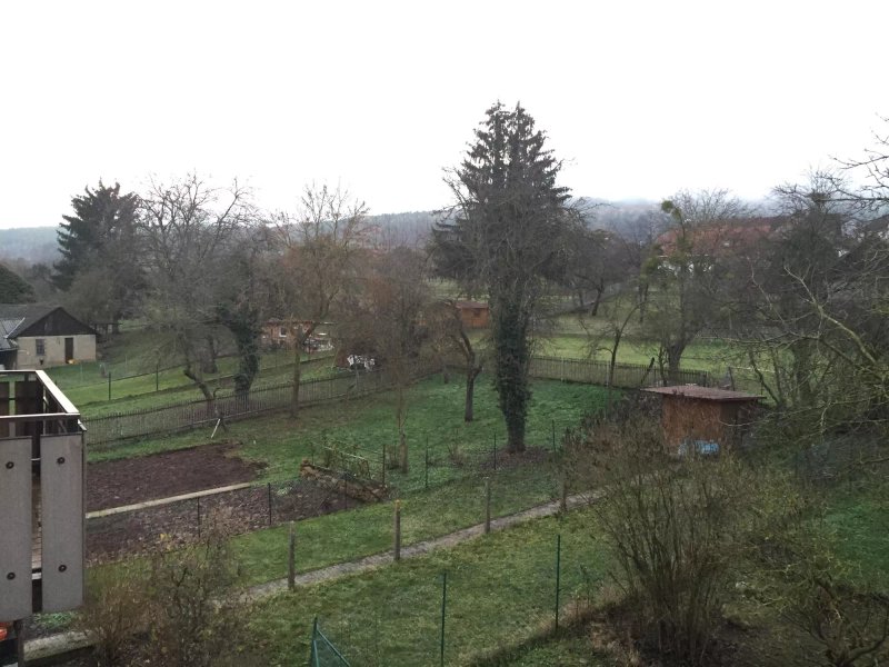 Zum Löwen